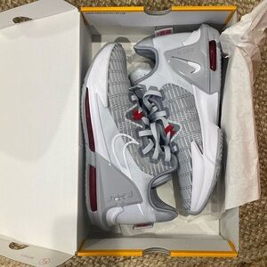 Lebron Witness VI Pure Platinum/Wolf Grey US10 BNIB